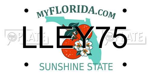 LLEY75 Florida License Plate