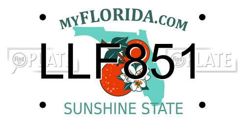 LLF851 Florida License Plate