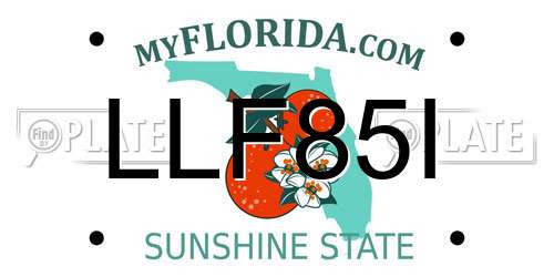 LLF85I Florida License Plate