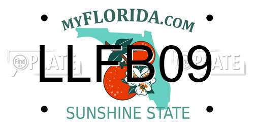 LLFB09 Florida License Plate