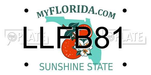 LLFB81 Florida License Plate