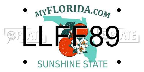 LLFF89 Florida License Plate