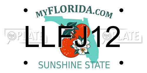 LLFJ12 Florida License Plate
