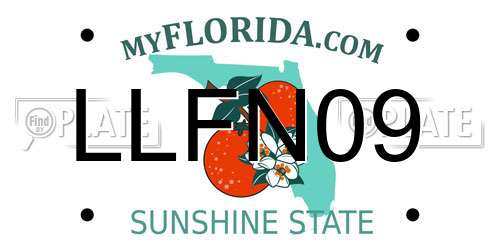 LLFN09 Florida License Plate
