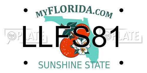 LLFS81 Florida License Plate