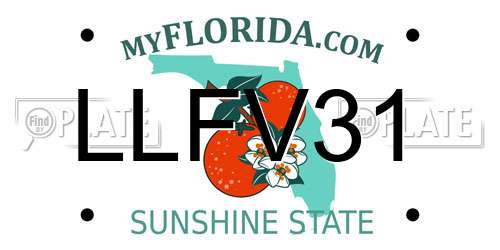 LLFV31 Florida License Plate