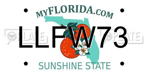 LLFW73 Florida License Plate