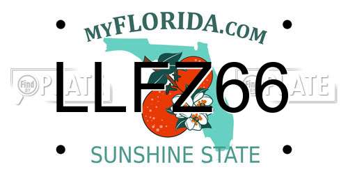 LLFZ66 Florida License Plate