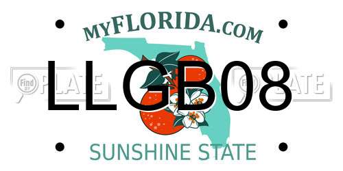 LLGB08 Florida License Plate