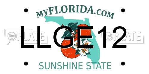 LLGE12 Florida License Plate