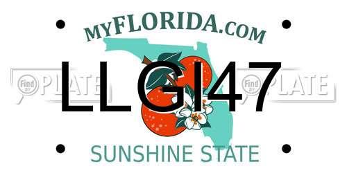 LLGI47 Florida License Plate