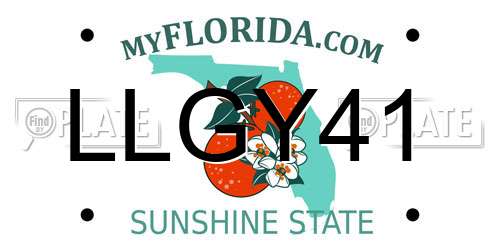 LLGY41 Florida License Plate