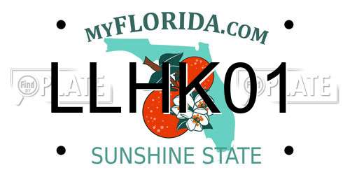 LLHK01 Florida License Plate