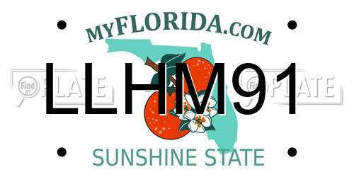 LLHM91 Florida License Plate