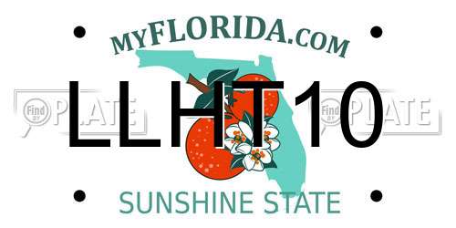 LLHT10 Florida License Plate