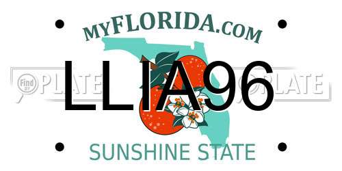 LLIA96 Florida License Plate