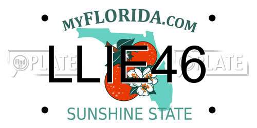 LLIE46 Florida License Plate