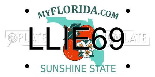 LLIE69 Florida License Plate