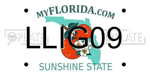 LLIG09 Florida License Plate