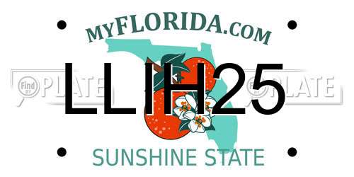 LLIH25 Florida License Plate