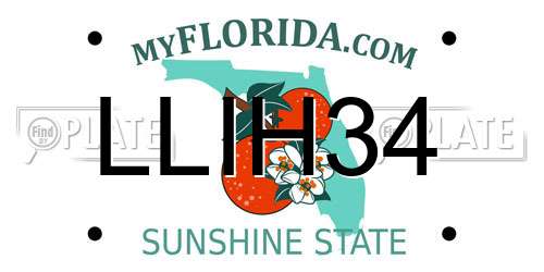 LLIH34 Florida License Plate