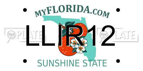 LLIR12 Florida License Plate