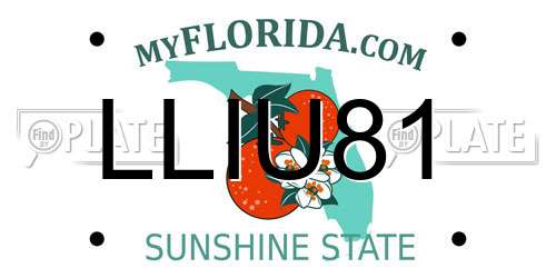 LLIU81 Florida License Plate