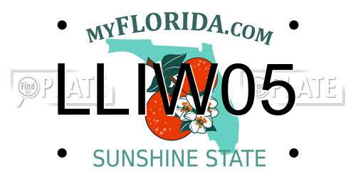 LLIW05 Florida License Plate
