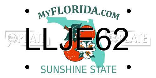 LLJE62 Florida License Plate