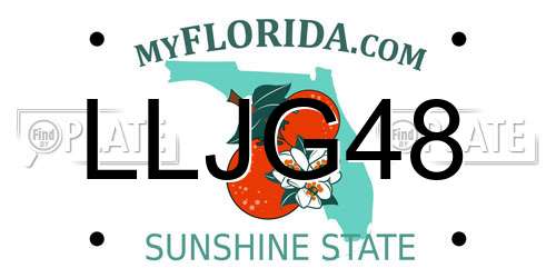 LLJG48 Florida License Plate