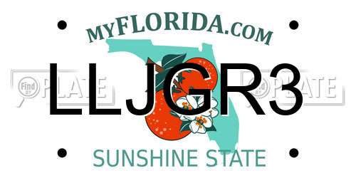 LLJGR3 Florida License Plate