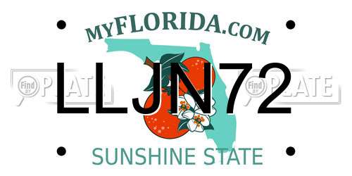 LLJN72 Florida License Plate