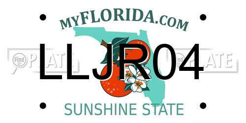 LLJR04 Florida License Plate