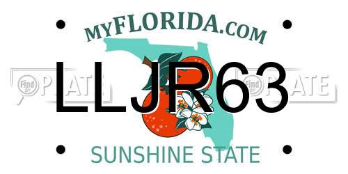 LLJR63 Florida License Plate