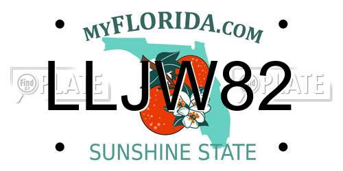 LLJW82 Florida License Plate