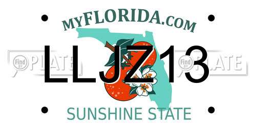 LLJZ13 Florida License Plate