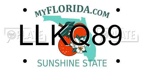 LLKQ89 Florida License Plate