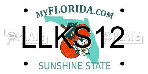 LLKS12 Florida License Plate