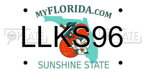 LLKS96 Florida License Plate