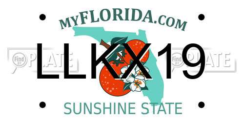 LLKX19 Florida License Plate