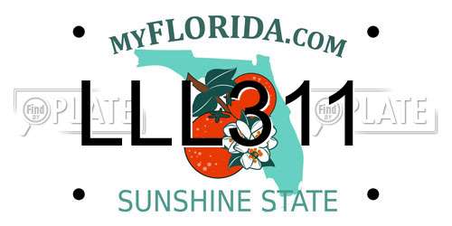 LLL311 Florida License Plate