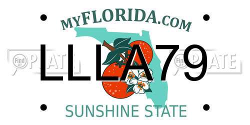 LLLA79 Florida License Plate