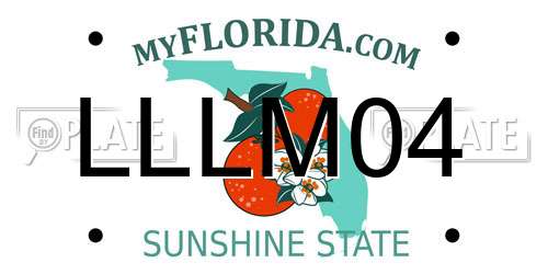 LLLM04 Florida License Plate