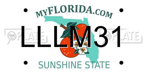LLLM31 Florida License Plate