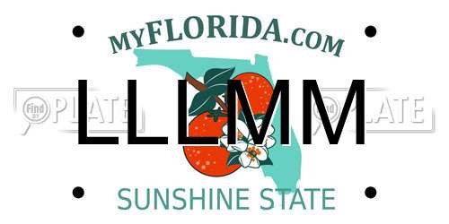 LLLMM Florida License Plate