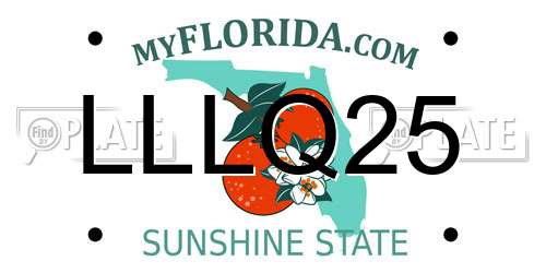 LLLQ25 Florida License Plate