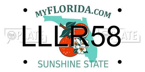 LLLR58 Florida License Plate