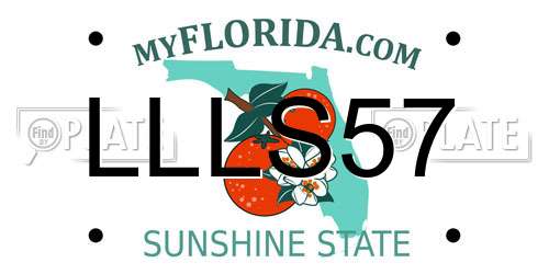 LLLS57 Florida License Plate
