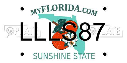 LLLS87 Florida License Plate