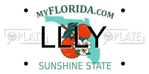 LLLY Florida License Plate